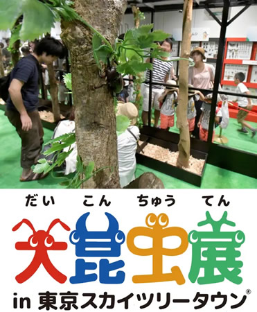 大昆虫展 in 東京スカイツリータウン(R) ～ようこそ昆虫の惑星へ～