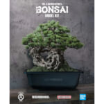 SRL X BANDAI SPIRITS . BONSAI MODEL KIT